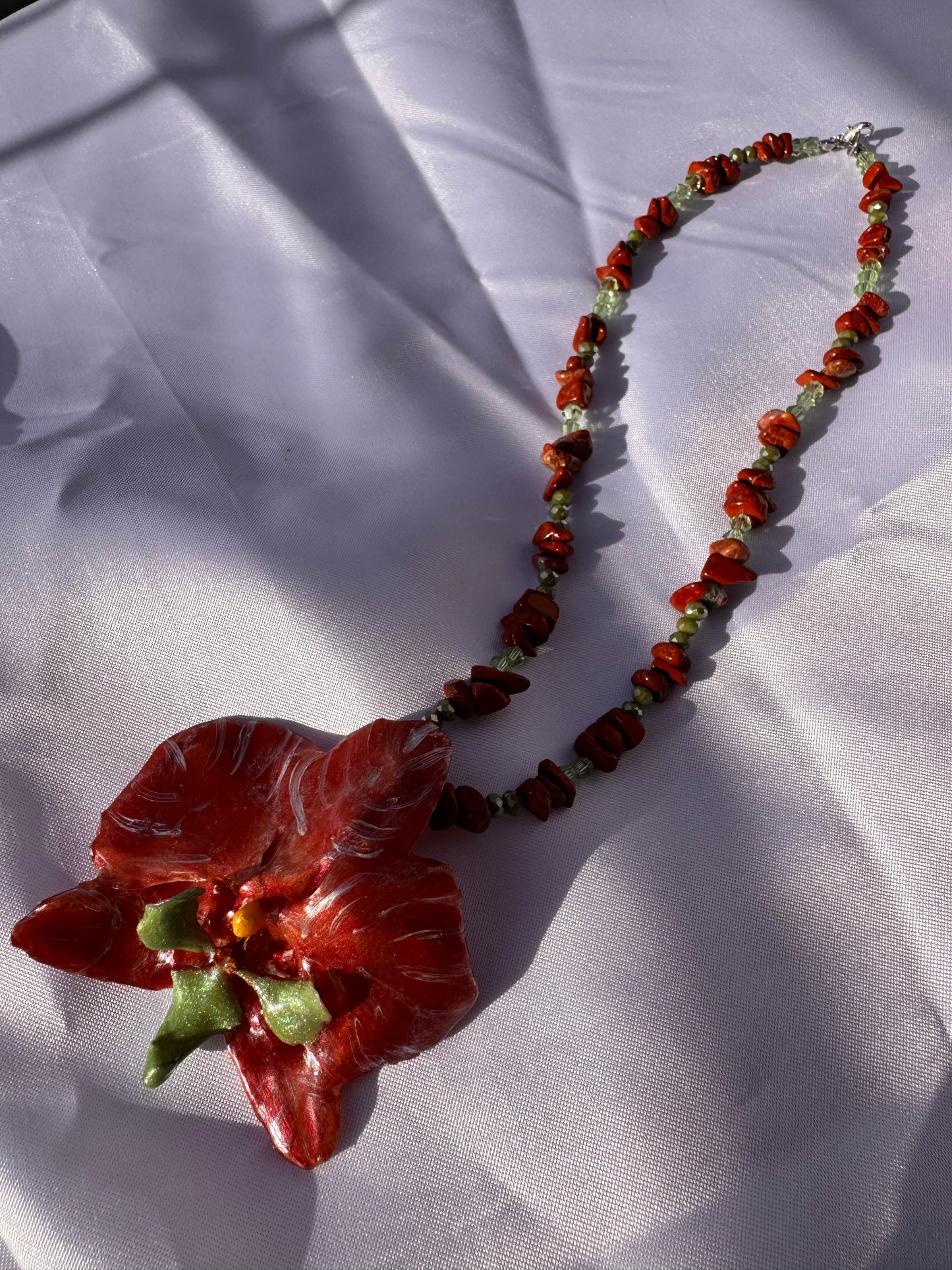 Orchidea Terra
