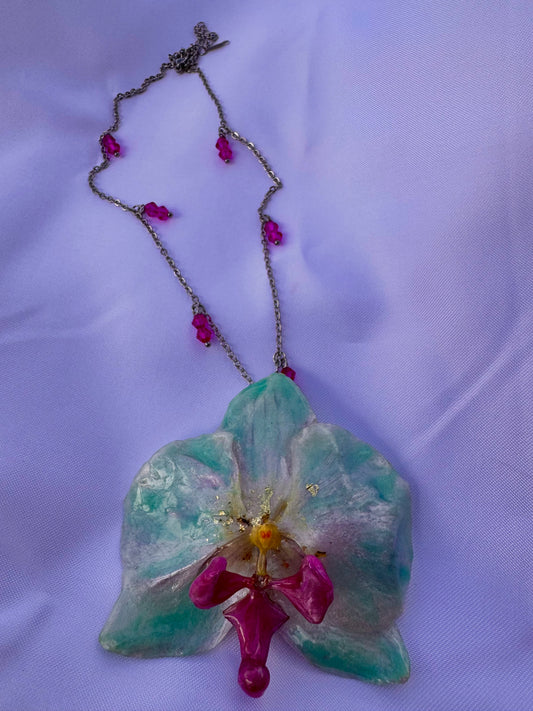 Orchidea di Aurora