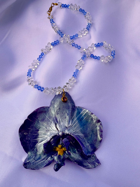 Orchidea Cosmica